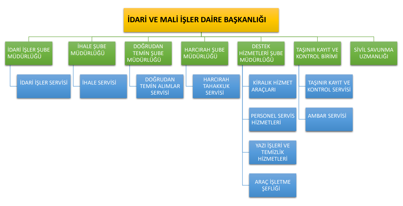 Organizasyon Şeması